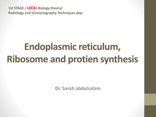 Endoplasmic reticulum,
Ribosome and protien synthesis
Dr. Sarah abdulsalam
1st STAGE / LEC4/ Biology theory/
Radiology and Ulrasonography Techniques dep.
 