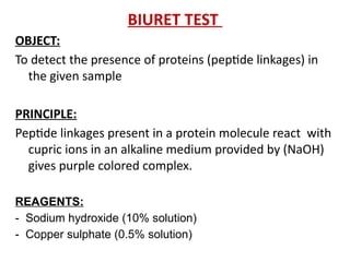 Lec4 Detection Of Proteins 2023.pvvvvvvvvvvvvptx | PPTX