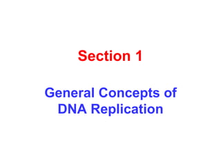 Section 1
General Concepts of
DNA Replication
 