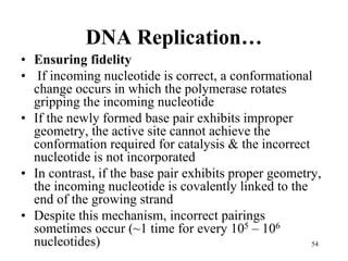 DNA Replication- General Concepts of DNA Replication.ppt