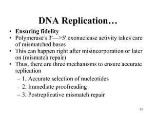 DNA Replication- General Concepts of DNA Replication.ppt