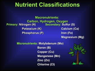 Lec 4 Fertilizer.ppt Fertilizer.ppt ROLE OF STAND ESTABLISHMENT | PPT