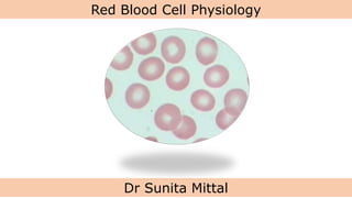 Red Blood Cell Physiology
Dr Sunita Mittal
 