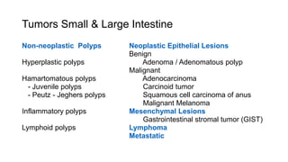 Intestinal neoplasm | PPTX