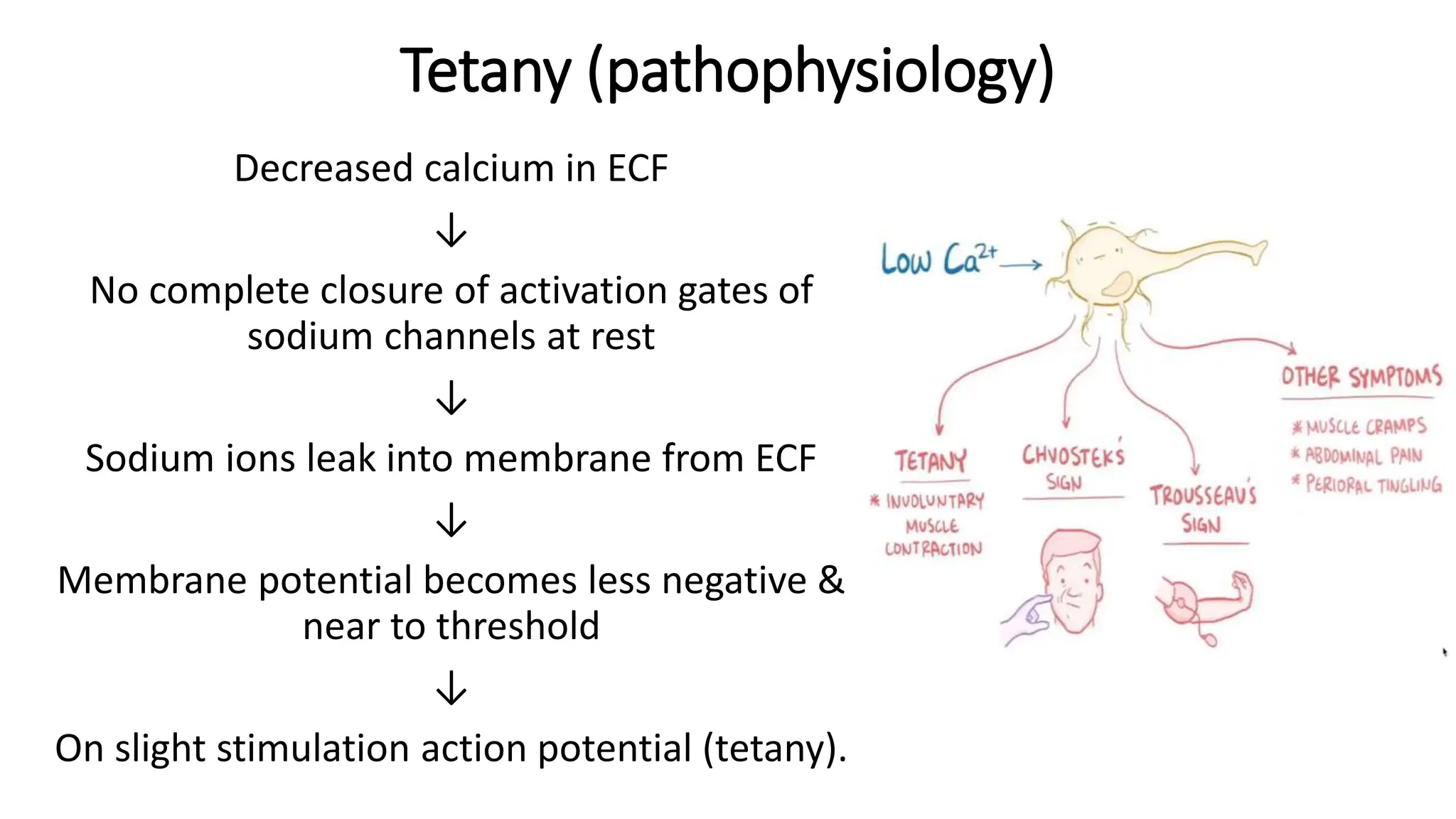 Complete Tetany LEC 4,Properties of action potential - Copy.pptx | Chemistry | Science
