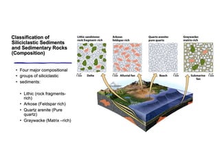 Arkose Composition Lecture4_Sedimentary rocks in detail.pdf