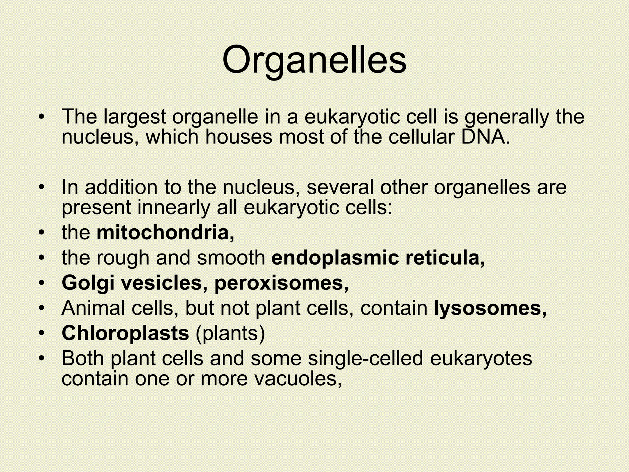 Organelles
• The largest organelle in a eukaryotic cell is generally the
nucleus, which houses most of the cellular DNA.
• In addition to the nucleus, several other organelles are
present innearly all eukaryotic cells:
• the mitochondria,
• the rough and smooth endoplasmic reticula,
• Golgi vesicles, peroxisomes,
• Animal cells, but not plant cells, contain lysosomes,
• Chloroplasts (plants)
• Both plant cells and some single-celled eukaryotes
contain one or more vacuoles,
 