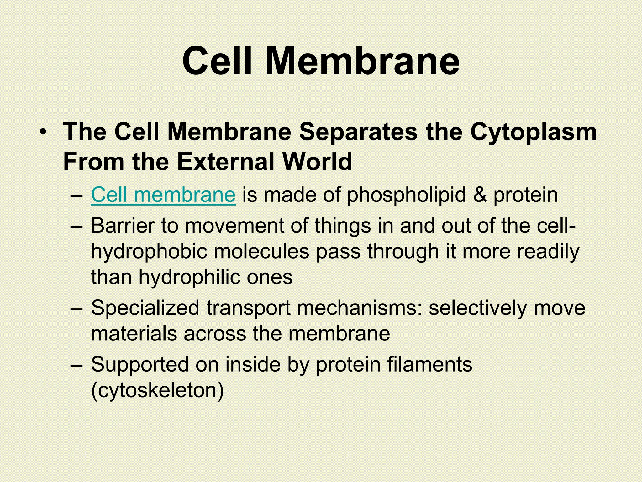 Cell Membrane
• The Cell Membrane Separates the Cytoplasm
From the External World
– Cell membrane is made of phospholipid & protein
– Barrier to movement of things in and out of the cell-
hydrophobic molecules pass through it more readily
than hydrophilic ones
– Specialized transport mechanisms: selectively move
materials across the membrane
– Supported on inside by protein filaments
(cytoskeleton)
 