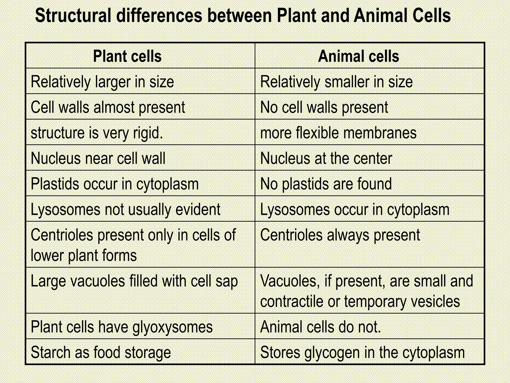 Plant cells Animal cells
Relatively larger in size Relatively smaller in size
Cell walls almost present No cell walls present
structure is very rigid. more flexible membranes
Nucleus near cell wall Nucleus at the center
Plastids occur in cytoplasm No plastids are found
Lysosomes not usually evident Lysosomes occur in cytoplasm
Centrioles present only in cells of
lower plant forms
Centrioles always present
Large vacuoles filled with cell sap Vacuoles, if present, are small and
contractile or temporary vesicles
Plant cells have glyoxysomes Animal cells do not.
Starch as food storage Stores glycogen in the cytoplasm
Structural differences between Plant and Animal Cells
 