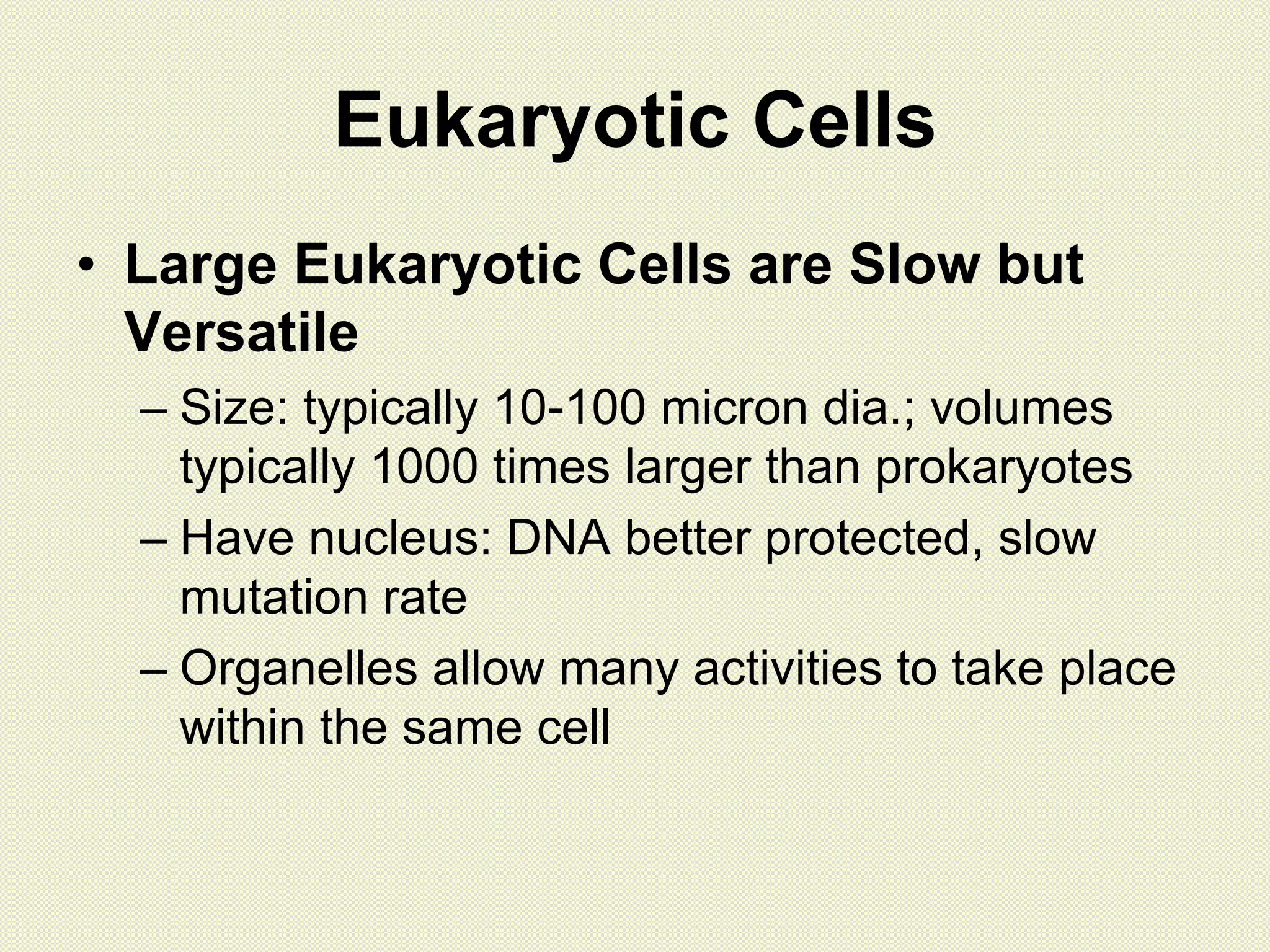 Eukaryotic Cells
• Large Eukaryotic Cells are Slow but
Versatile
– Size: typically 10-100 micron dia.; volumes
typically 1000 times larger than prokaryotes
– Have nucleus: DNA better protected, slow
mutation rate
– Organelles allow many activities to take place
within the same cell
 