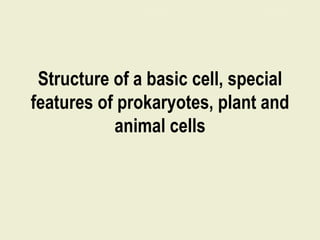 Structure of a basic cell, special
features of prokaryotes, plant and
animal cells
 