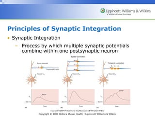 Lec #4_Synaptic Trans.ppt Lec #4_Synaptic Trans.ppt