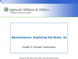 Copyright © 2007 Wolters Kluwer Health | Lippincott Williams & Wilkins
Neuroscience: Exploring the Brain, 3e
Chapter 5: Synaptic Transmission
 
