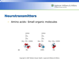 Synthesis and Storage of Neurotransmitters | PPT