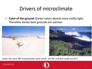 LEc4 ecology Temperature relations_2024.pdf