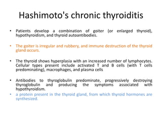 Hashimoto's chronic thyroiditis
• Patients develop a combination of goiter (or enlarged thyroid),
hypothyroidism, and thyroid autoantibodies.
• The goiter is irregular and rubbery, and immune destruction of the thyroid
gland occurs.
• The thyroid shows hyperplasia with an increased number of lymphocytes.
Cellular types present include activated T and B cells (with T cells
predominating), macrophages, and plasma cells
• Antibodies to thyroglobulin predominate, progressively destroying
thyroglobulin and producing the symptoms associated with
hypothyroidism.
• a protein present in the thyroid gland, from which thyroid hormones are
synthesized.
 