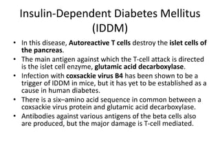 Insulin-Dependent Diabetes Mellitus
(IDDM)
• In this disease, Autoreactive T cells destroy the islet cells of
the pancreas.
• The main antigen against which the T-cell attack is directed
is the islet cell enzyme, glutamic acid decarboxylase.
• Infection with coxsackie virus B4 has been shown to be a
trigger of IDDM in mice, but it has yet to be established as a
cause in human diabetes.
• There is a six–amino acid sequence in common between a
coxsackie virus protein and glutamic acid decarboxylase.
• Antibodies against various antigens of the beta cells also
are produced, but the major damage is T-cell mediated.
 