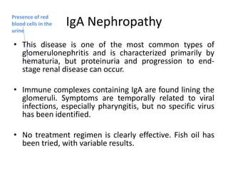 IgA Nephropathy
• This disease is one of the most common types of
glomerulonephritis and is characterized primarily by
hematuria, but proteinuria and progression to end-
stage renal disease can occur.
• Immune complexes containing IgA are found lining the
glomeruli. Symptoms are temporally related to viral
infections, especially pharyngitis, but no specific virus
has been identified.
• No treatment regimen is clearly effective. Fish oil has
been tried, with variable results.
Presence of red
blood cells in the
urine
 