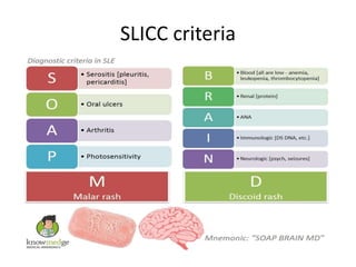 SLICC criteria
 