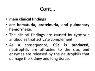 Cont…
• main clinical findings
• are hematuria, proteinuria, and pulmonary
hemorrhage.
• The clinical findings are caused by cytotoxic
antibodies that activate complement.
• As a consequence, C5a is produced,
neutrophils are attracted to the site, and
enzymes are released by the neutrophils that
damage the kidney and lung tissue.
 
