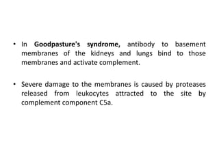 • In Goodpasture's syndrome, antibody to basement
membranes of the kidneys and lungs bind to those
membranes and activate complement.
• Severe damage to the membranes is caused by proteases
released from leukocytes attracted to the site by
complement component C5a.
 