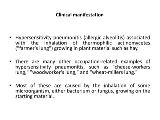 Clinical manifestation
• Hypersensitivity pneumonitis (allergic alveolitis) associated
with the inhalation of thermophilic actinomycetes
("farmer's lung") growing in plant material such as hay.
• There are many other occupation-related examples of
hypersensitivity pneumonitis, such as "cheese-workers
lung," "woodworker's lung," and "wheat-millers lung."
• Most of these are caused by the inhalation of some
microorganism, either bacterium or fungus, growing on the
starting material.
 