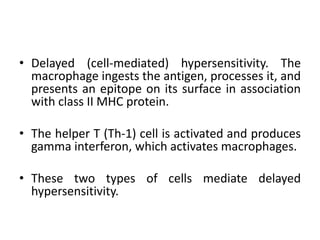 • Delayed (cell-mediated) hypersensitivity. The
macrophage ingests the antigen, processes it, and
presents an epitope on its surface in association
with class II MHC protein.
• The helper T (Th-1) cell is activated and produces
gamma interferon, which activates macrophages.
• These two types of cells mediate delayed
hypersensitivity.
 