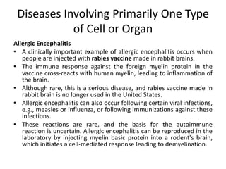 Diseases Involving Primarily One Type
of Cell or Organ
Allergic Encephalitis
• A clinically important example of allergic encephalitis occurs when
people are injected with rabies vaccine made in rabbit brains.
• The immune response against the foreign myelin protein in the
vaccine cross-reacts with human myelin, leading to inflammation of
the brain.
• Although rare, this is a serious disease, and rabies vaccine made in
rabbit brain is no longer used in the United States.
• Allergic encephalitis can also occur following certain viral infections,
e.g., measles or influenza, or following immunizations against these
infections.
• These reactions are rare, and the basis for the autoimmune
reaction is uncertain. Allergic encephalitis can be reproduced in the
laboratory by injecting myelin basic protein into a rodent's brain,
which initiates a cell-mediated response leading to demyelination.
 