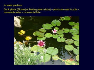 4- water gardens:
Sunk plants (Elodea) or floating plants (lotus) – plants are used in pots –
renewable water – ornamental fish -
 