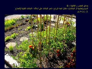 5 - :‫الفاكهة‬ ‫و‬ ‫الخضر‬ ‫حدائق‬
‫)النعناع‬ ‫الطبية‬ ‫النباتات‬ - ‫أسل ك‬ ‫على‬ ‫النباتات‬ ‫تنمو‬ - ‫الرياح‬ ‫اتجاه‬ ‫مقابل‬ - (‫النباتات‬ ‫أو‬ ‫)خشبية‬ ‫السياج‬
‫روزماري‬ ..).
 
