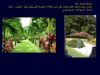 8 - :‫النباتية‬ ‫الحدائق‬
‫مكان‬ - ‫الصوب‬ – ‫إليها‬ ‫ينتمون‬ ‫التي‬ ‫المجموعة‬ ‫أو‬ ‫العائلة‬ ‫أساس‬ ‫على‬ ‫النباتات‬ ‫–تقسم‬ ‫والتعلم‬ ‫البحث‬ ‫لغرض‬
‫هندسي‬ ‫تصميم‬ - ‫البرجولت‬ - ‫للراحة‬
 