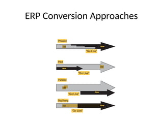 Parallel Erp Approach enterprise system and enterprise resource planning lecture five.pptx
