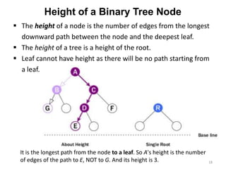 Height of a Binary Tree Node
▪ The height of a node is the number of edges from the longest
downward path between the node and the deepest leaf.
▪ The height of a tree is a height of the root.
▪ Leaf cannot have height as there will be no path starting from
a leaf.
18
It is the longest path from the node to a leaf. So A's height is the number
of edges of the path to E, NOT to G. And its height is 3.
 