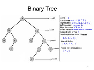 Binary Tree
22
 