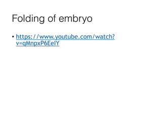 Folding of embryo
• https://www.youtube.com/watch?
v=qMnpxP6EeIY
 