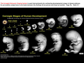 The Carnegie Embryonic Staging System is used internationally for estimating developmental stages in Human embryos.
Its use enables comparisons to be made between the findings of one person and those of another. Page-76, Table 5-1
 