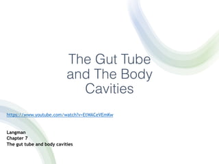 The Gut Tube
and The Body
Cavities
https://www.youtube.com/watch?v=EtWACeVEmKw
Langman
Chapter 7
The gut tube and body cavities
 