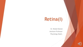 Retina(I)
Dr. Misbah Batool
Assistant Professor
Physiology Deptt.
 