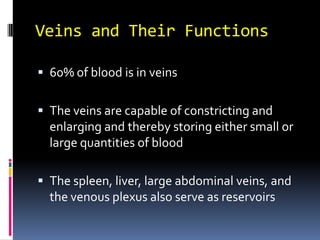 Veins and Their Functions 60% of blood is in veins The veins are capable of constricting and enlarging and thereby storing either small or large quantities of blood  The spleen, liver, large abdominal veins, and the venous plexus also serve as reservoirs 
