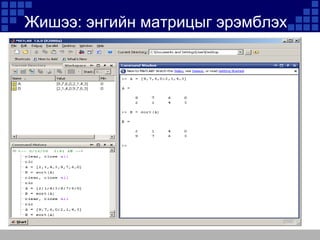 Жишээ: энгийн матрицыг эрэмблэх

 