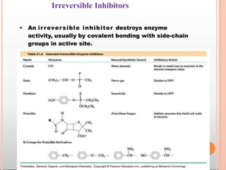 Irreversible Inhibitors
• An irreversible inhibitor destroys enzyme
activity, usually by covalent bonding with side-chain
groups in active site.
 