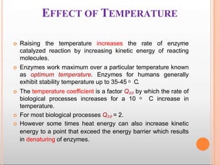 EFFECT OF TEMPERATURE
 Raising the temperature increases the rate of enzyme
catalyzed reaction by increasing kinetic energy of reacting
molecules.
 Enzymes work maximum over a particular temperature known
as optimum temperature. Enzymes for humans generally
exhibit stability temperature up to 35-45 ᵒ C.
 The temperature coefficient is a factor Q₁₀ by which the rate of
biological processes increases for a 10 ᵒ C increase in
temperature.
 For most biological processes Q₁₀ = 2.
 However some times heat energy can also increase kinetic
energy to a point that exceed the energy barrier which results
in denaturing of enzymes.
 