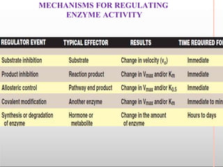MECHANISMS FOR REGULATING
ENZYME ACTIVITY
 