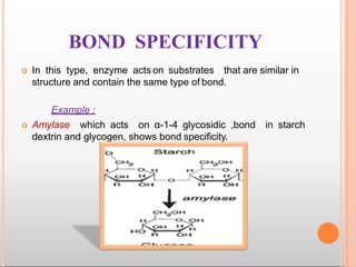 BOND SPECIFICITY
 In this type, enzyme acts on substrates that are similar in
structure and contain the same type of bond.
Example :
 Amylase which acts on α-1-4 glycosidic ,bond in starch
dextrin and glycogen, shows bond specificity.
 