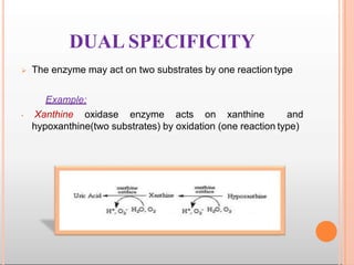  The enzyme may act on two substrates by one reaction type
Example:
• Xanthine oxidase enzyme acts on xanthine and
hypoxanthine(two substrates) by oxidation (one reaction type)
DUAL SPECIFICITY
 
