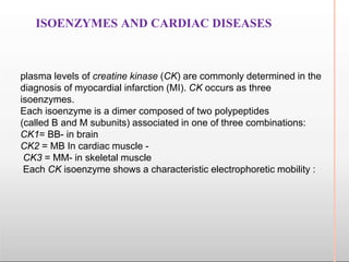 ISOENZYMES AND CARDIAC DISEASES
plasma levels of creatine kinase (CK) are commonly determined in the
diagnosis of myocardial infarction (MI). CK occurs as three
isoenzymes.
Each isoenzyme is a dimer composed of two polypeptides
(called B and M subunits) associated in one of three combinations:
CK1= BB- in brain
CK2 = MB In cardiac muscle -
CK3 = MM- in skeletal muscle
Each CK isoenzyme shows a characteristic electrophoretic mobility :
 