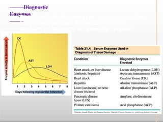 Diagnostic
Enzymes
• The levels of diagnostic enzymes in the
blood can be used to determine the
amount of damage in specific tissues
 