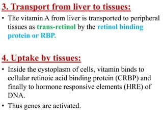 3. Transport from liver to tissues:
• The vitamin A from liver is transported to peripheral
  tissues as trans-retinol by the retinol binding
  protein or RBP.


4. Uptake by tissues:
• Inside the cystoplasm of cells, vitamin binds to
  cellular retinoic acid binding protein (CRBP) and
  finally to hormone responsive elements (HRE) of
  DNA.
• Thus genes are activated.
 