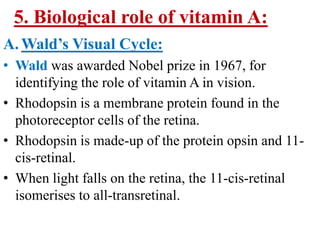 5. Biological role of vitamin A:
A. Wald’s Visual Cycle:
• Wald was awarded Nobel prize in 1967, for
  identifying the role of vitamin A in vision.
• Rhodopsin is a membrane protein found in the
  photoreceptor cells of the retina.
• Rhodopsin is made-up of the protein opsin and 11-
  cis-retinal.
• When light falls on the retina, the 11-cis-retinal
  isomerises to all-transretinal.
 