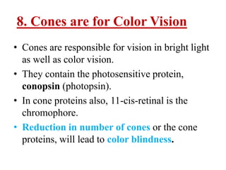8. Cones are for Color Vision
• Cones are responsible for vision in bright light
  as well as color vision.
• They contain the photosensitive protein,
  conopsin (photopsin).
• In cone proteins also, 11-cis-retinal is the
  chromophore.
• Reduction in number of cones or the cone
  proteins, will lead to color blindness.
 